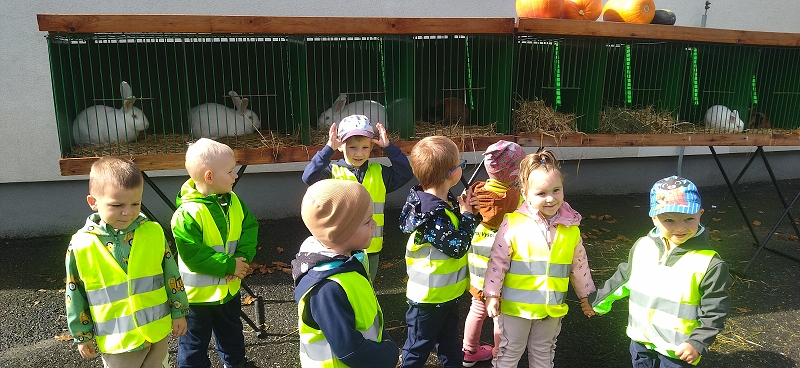 Broučci na výstavě drobného zvířectva