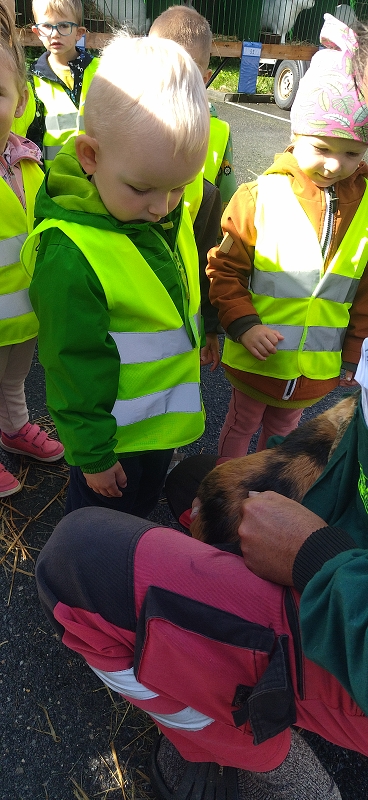 Broučci na výstavě drobného zvířectva
