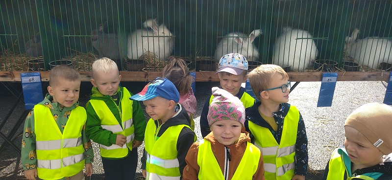 Broučci na výstavě drobného zvířectva