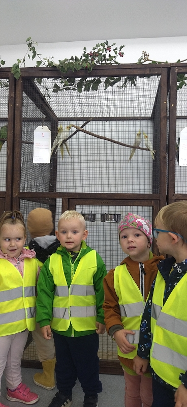 Broučci na výstavě drobného zvířectva