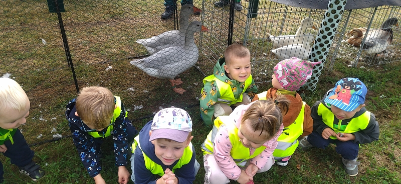 Broučci na výstavě drobného zvířectva