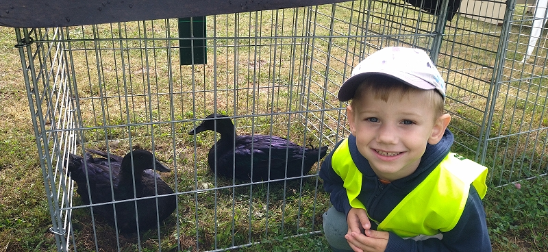 Broučci na výstavě drobného zvířectva