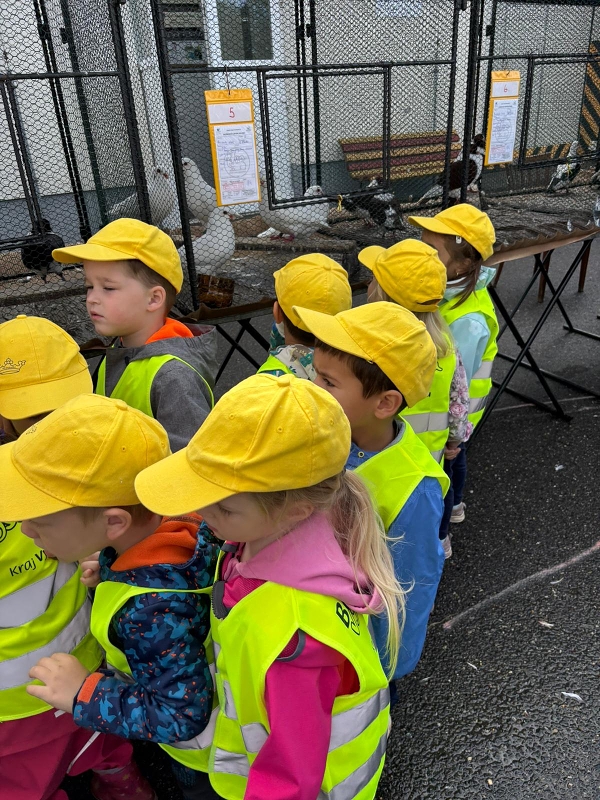 Kočičky na výstavě drobného zvířectva