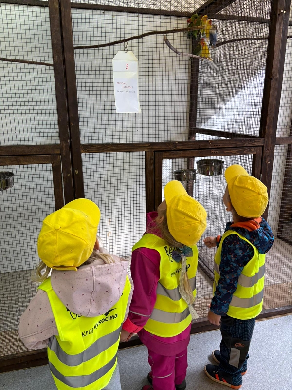 Kočičky na výstavě drobného zvířectva