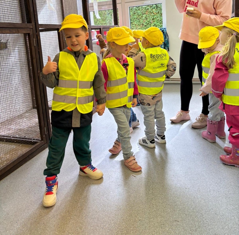 Kočičky na výstavě drobného zvířectva