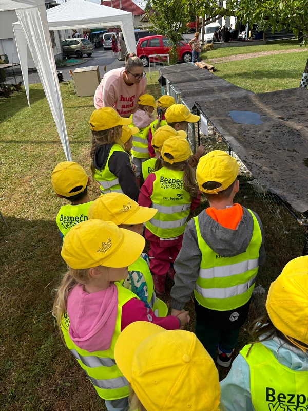 Kočičky na výstavě drobného zvířectva