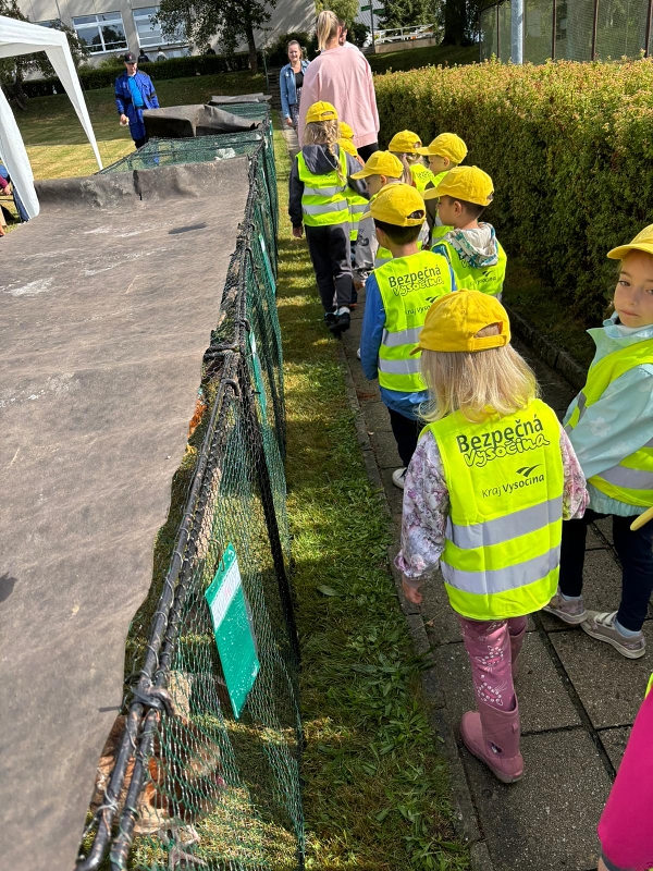 Kočičky na výstavě drobného zvířectva