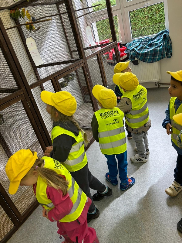 Kočičky na výstavě drobného zvířectva