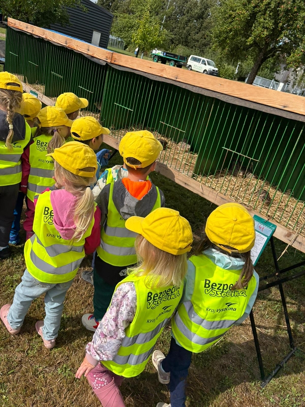 Kočičky na výstavě drobného zvířectva