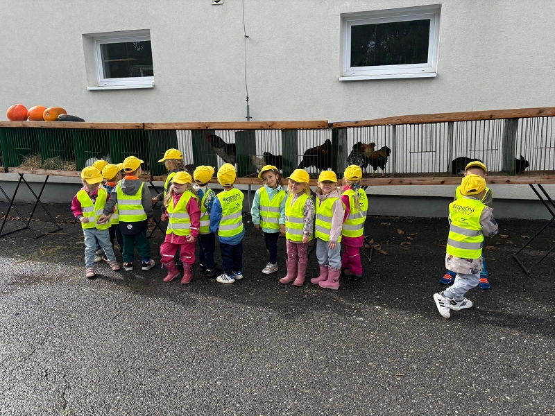 Kočičky na výstavě drobného zvířectva