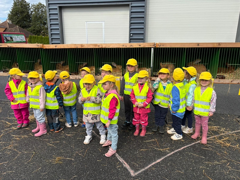 Kočičky na výstavě drobného zvířectva