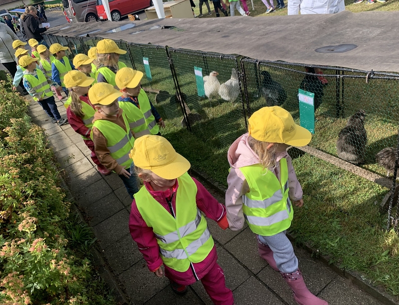 Kočičky na výstavě drobného zvířectva