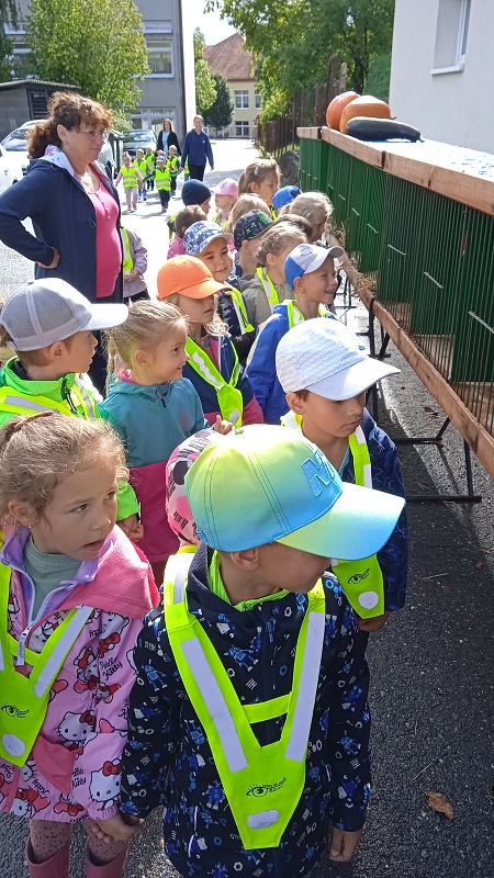 Opičky na výstavě drobného zvířectva