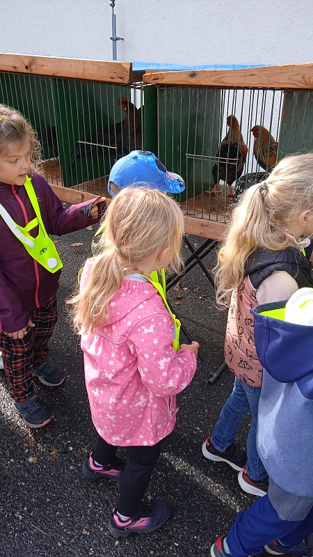 Opičky na výstavě drobného zvířectva