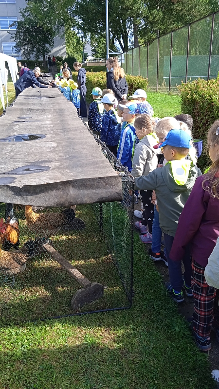 Opičky na výstavě drobného zvířectva