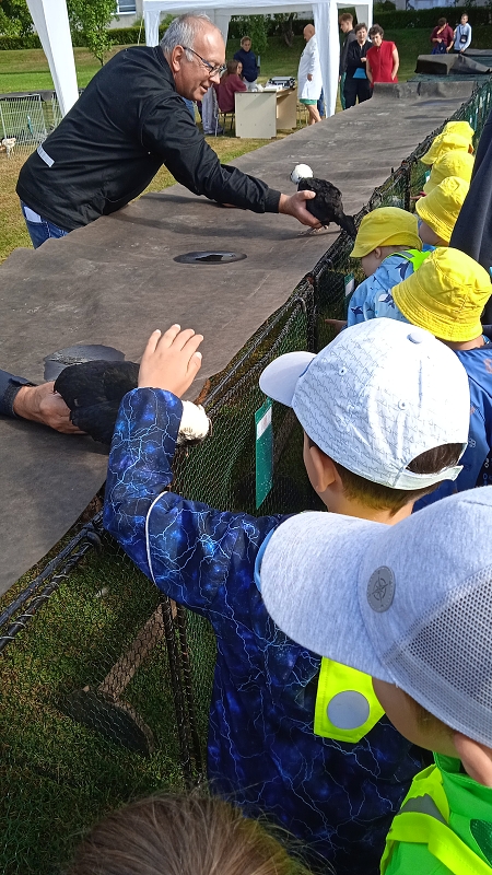 Opičky na výstavě drobného zvířectva