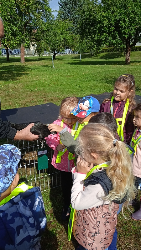 Opičky na výstavě drobného zvířectva