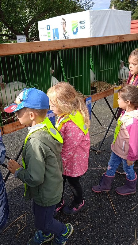 Opičky na výstavě drobného zvířectva