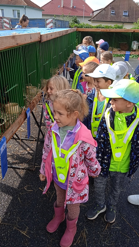 Opičky na výstavě drobného zvířectva