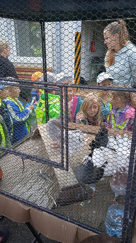 Opičky na výstavě drobného zvířectva