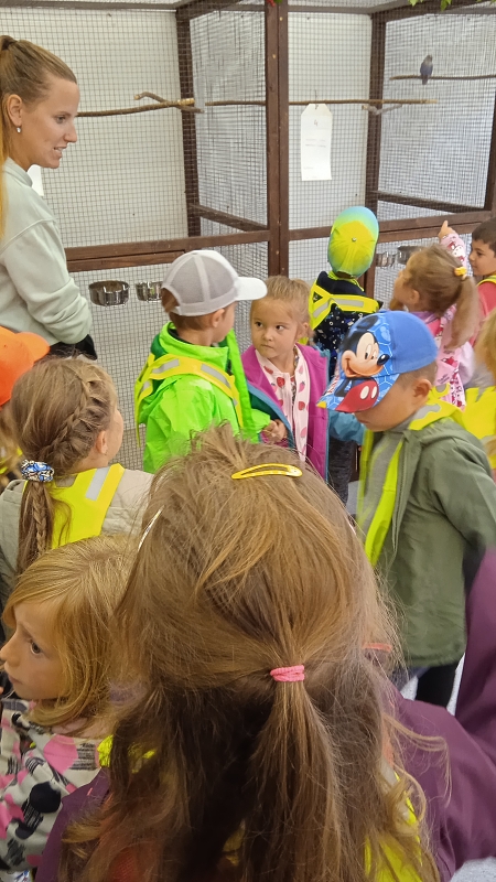 Opičky na výstavě drobného zvířectva