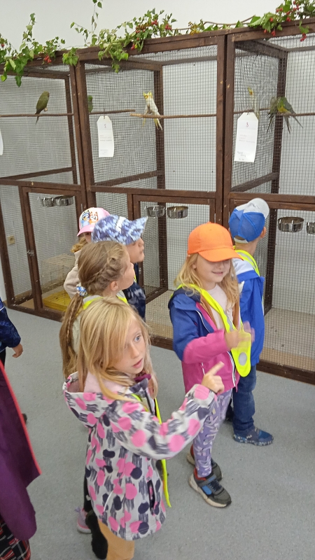 Opičky na výstavě drobného zvířectva