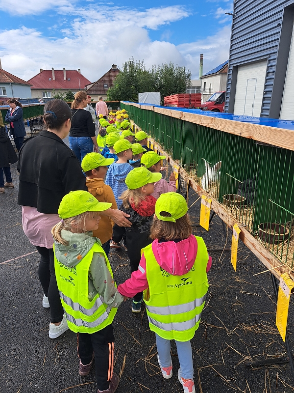 Veverky na výstavě drobného zvířectva