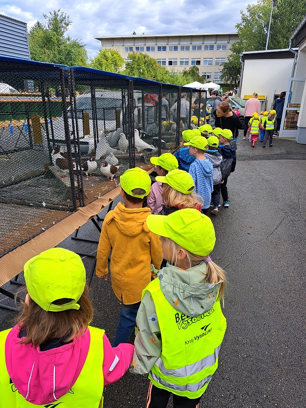Veverky na výstavě drobného zvířectva