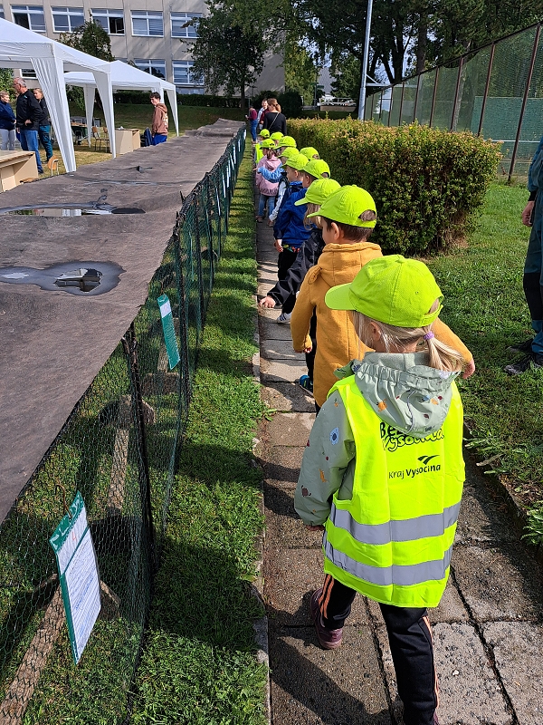 Veverky na výstavě drobného zvířectva