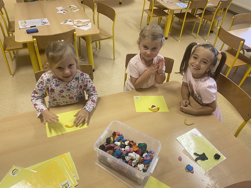 Pracujeme, hrajeme si - Kočičky