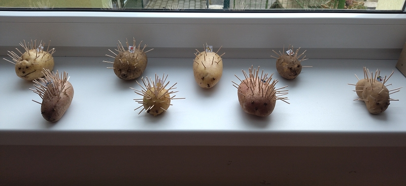 Broučci poznávají ovoce a zeleninu