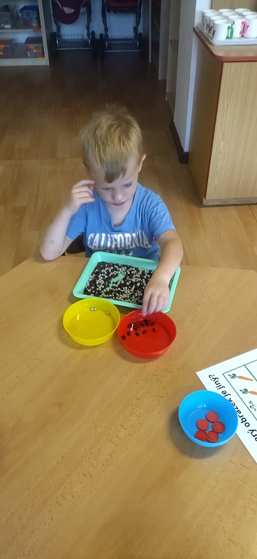 Broučci poznávají ovoce a zeleninu