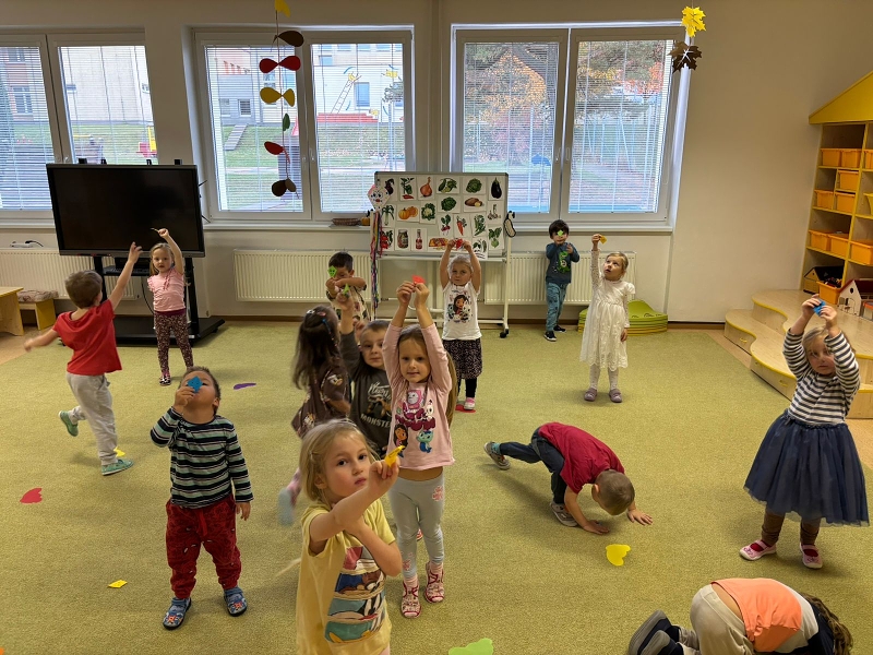 Co viděl dráček na zahrádce - Kočičky