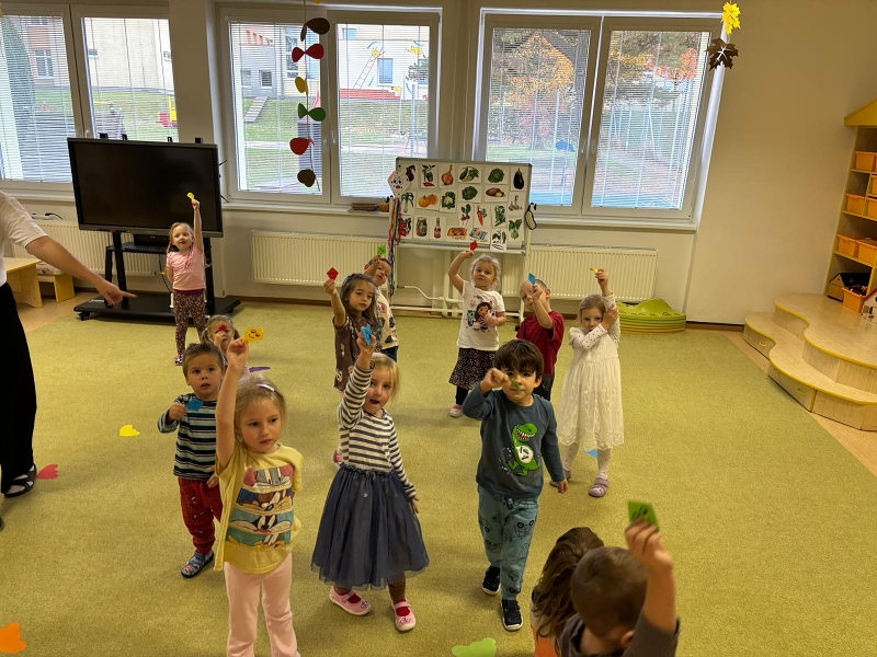 Co viděl dráček na zahrádce - Kočičky