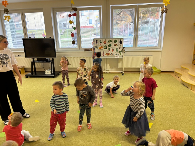 Co viděl dráček na zahrádce - Kočičky