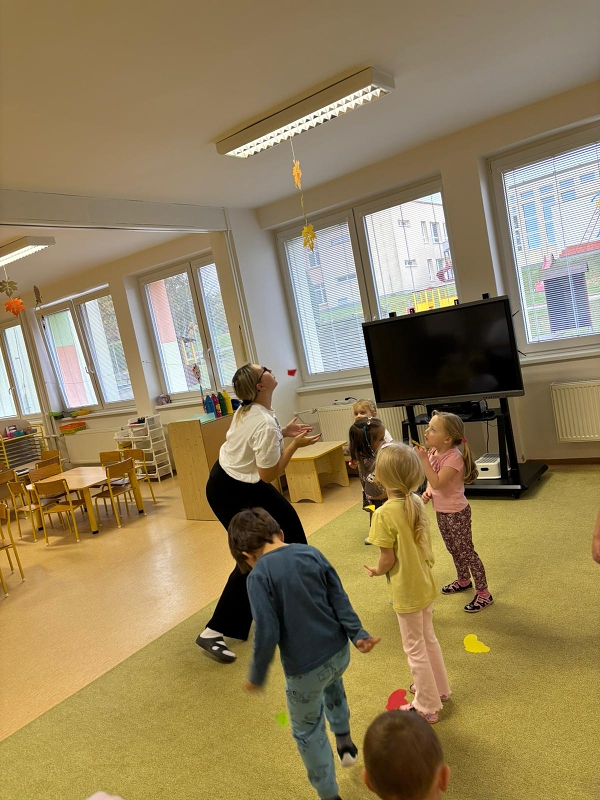 Co viděl dráček na zahrádce - Kočičky