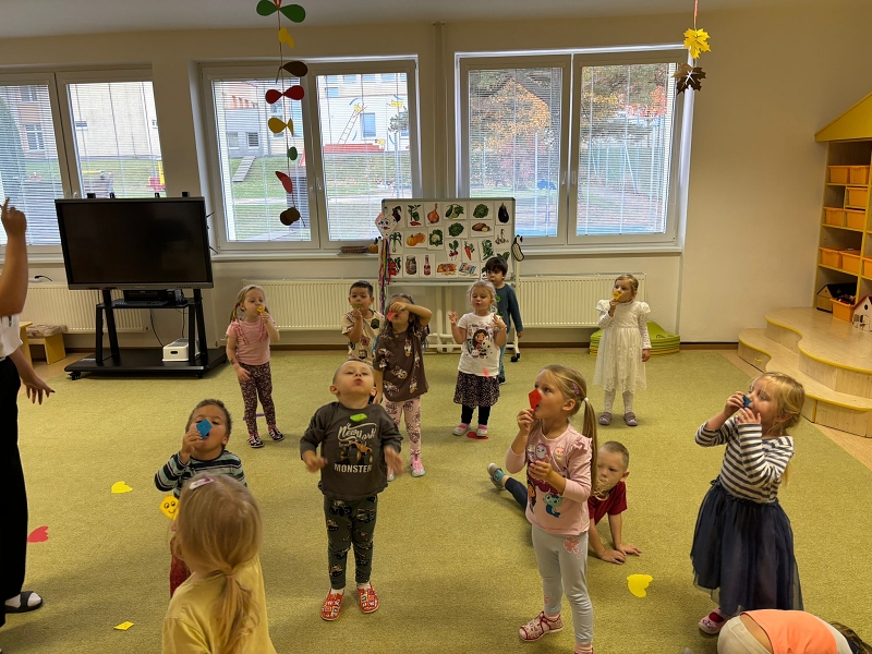 Co viděl dráček na zahrádce - Kočičky