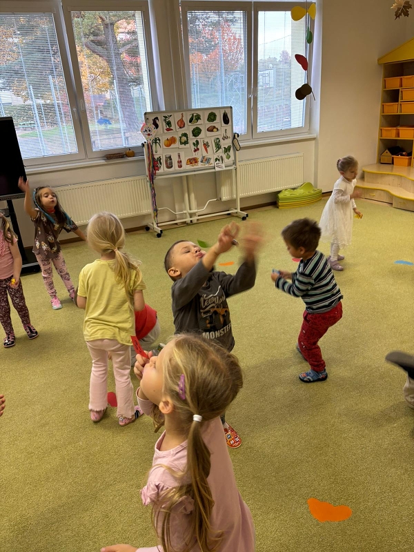 Co viděl dráček na zahrádce - Kočičky