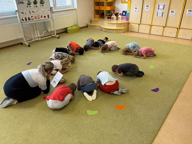 Co viděl dráček na zahrádce - Kočičky