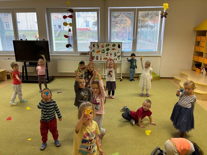 Co viděl dráček na zahrádce - Kočičky