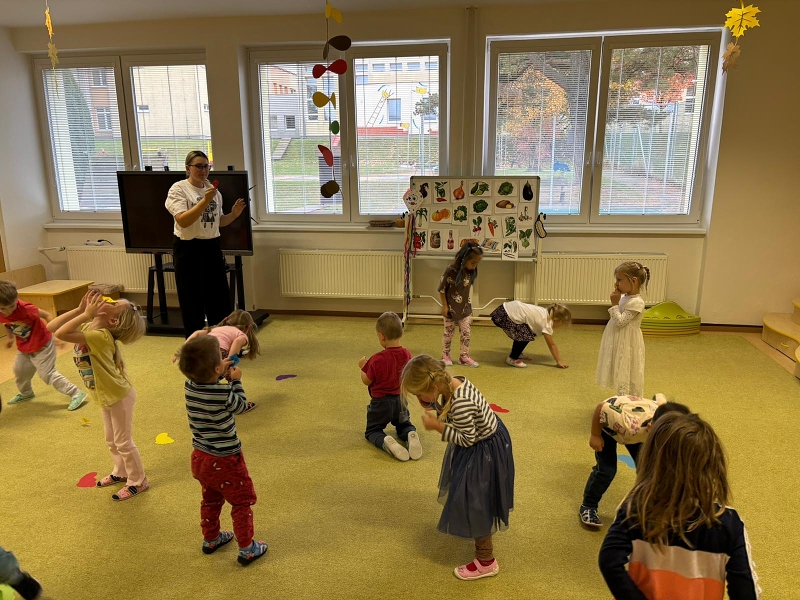 Co viděl dráček na zahrádce - Kočičky