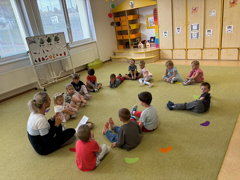 Co viděl dráček na zahrádce - Kočičky