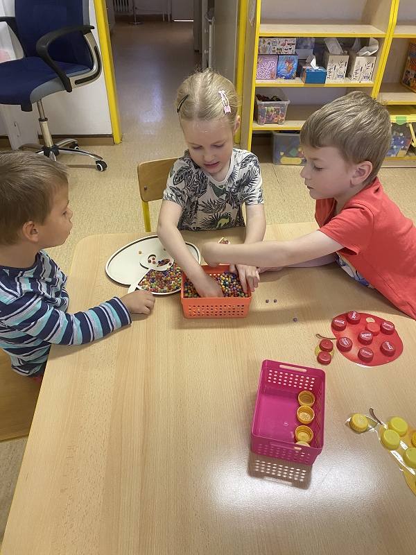 Co viděl dráček na zahrádce - Kočičky