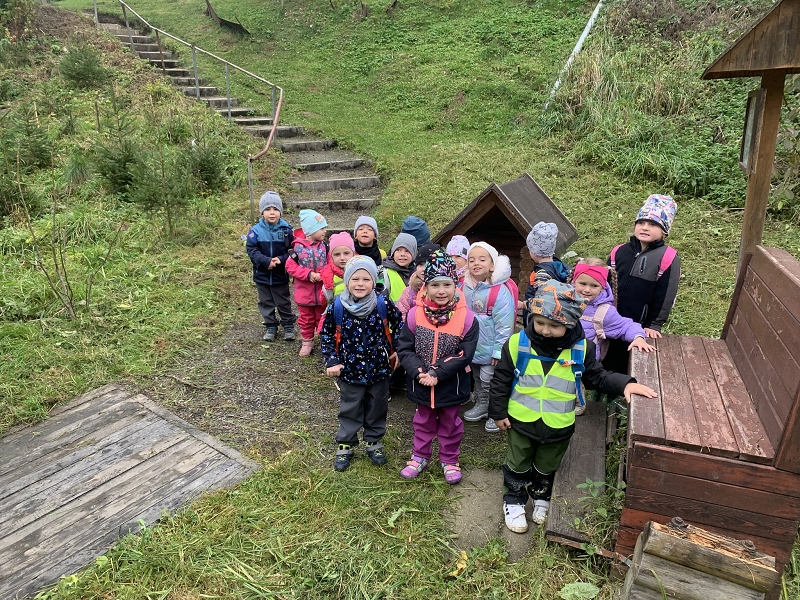 Kočičky na půldenní vycházce