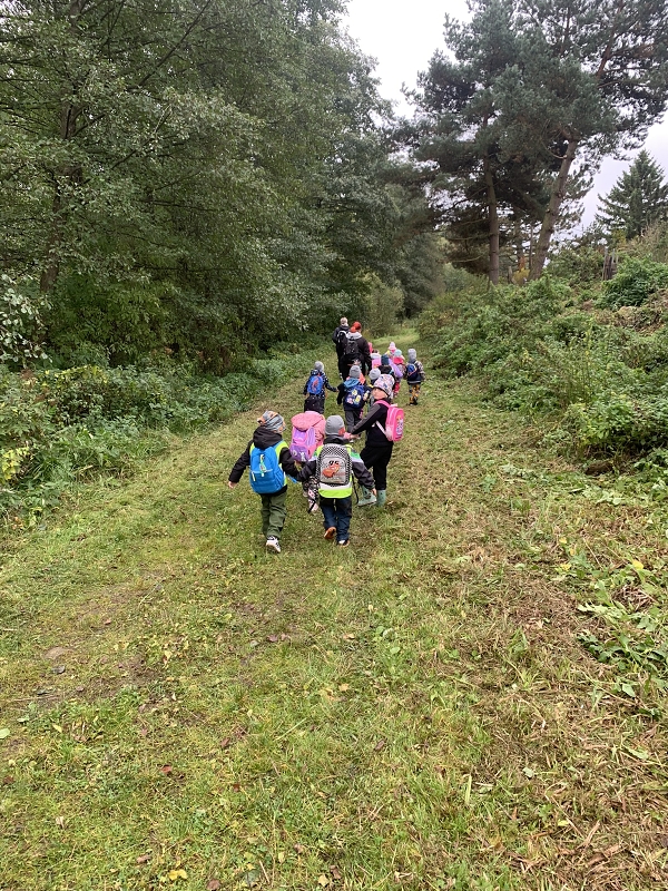 Kočičky na půldenní vycházce