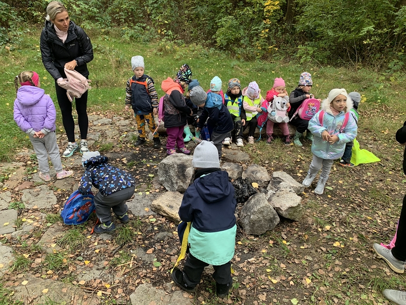 Kočičky na půldenní vycházce