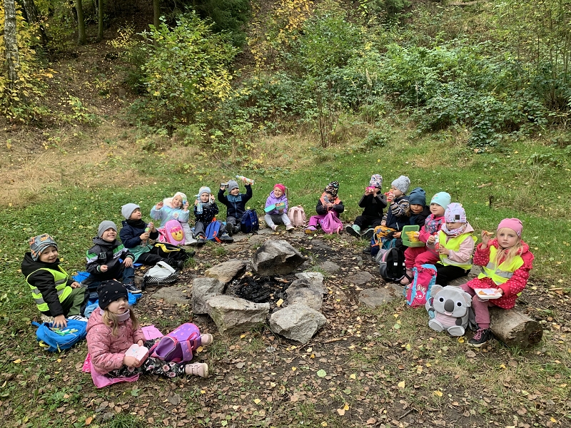 Kočičky na půldenní vycházce