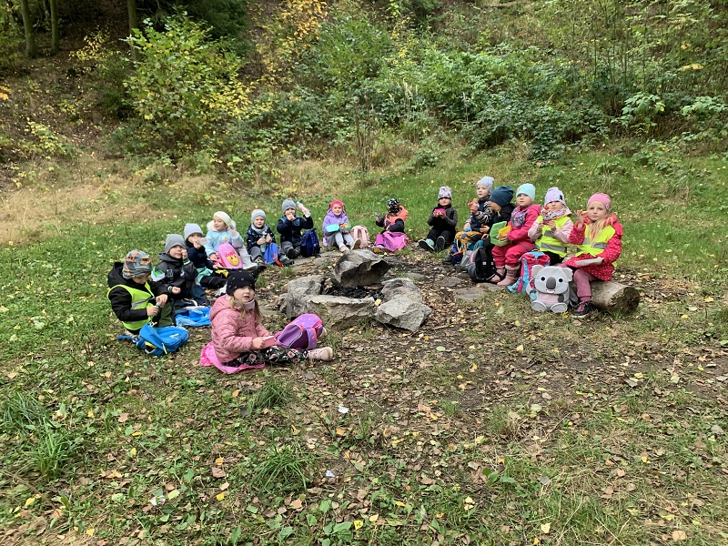 Kočičky na půldenní vycházce