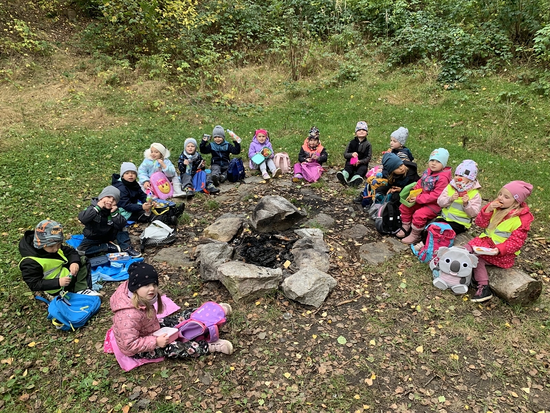 Kočičky na půldenní vycházce