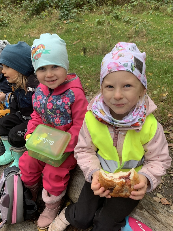 Kočičky na půldenní vycházce